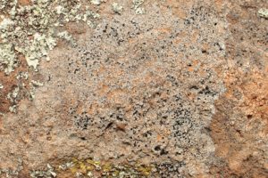 Kimmel Property sheep fold lichen