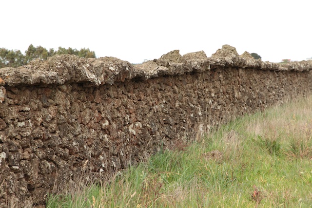 The Rabbit Wall, Pomboneit North, Vic (2)