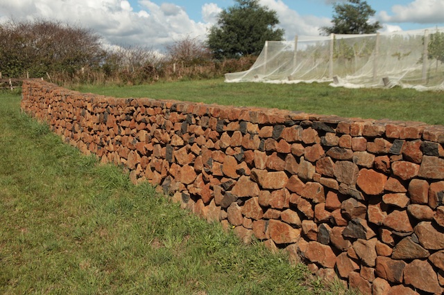 3-Willows Vineyard Wall (3)